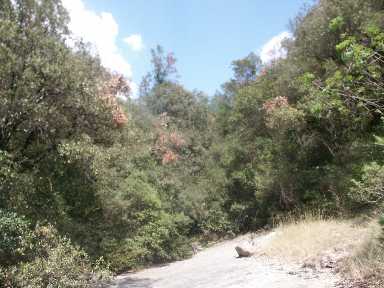 Wanderweg zurck