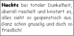 Textfeld: Nachts bei totaler Dunkelheit,
überall raschelt und knistert es, alles sieht so gespenstisch aus. Ganz schön gruselig und doch so friedlich!