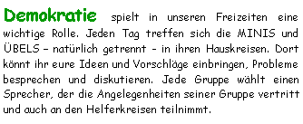 Textfeld: Demokratie spielt in unseren Freizeiten eine 
wichtige Rolle. Jeden Tag treffen sich die MINIS und BELS  natrlich getrennt - in ihren Hauskreisen. Dort knnt ihr eure Ideen und Vorschlge einbringen, Probleme besprechen und diskutieren. Jede Gruppe whlt einen Sprecher, der die Angelegenheiten seiner Gruppe vertritt und auch an den Helferkreisen teilnimmt.