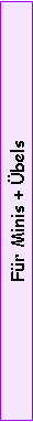 Textfeld: Fr Minis + bels
